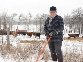 Municipal District of Pincher Creek Councillor Bev Everts stands among the cattle at her ranch. Everts announced during the March 23 council meeting that she wouldn't seek re-election.