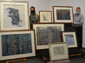 Tom Thomson Art Gallery Director and Chief Curator Aidan Ware and Curator of Collections David Huff with some of the 10 pieces by famous wildlife artist George McLean that have been donated to the gallery by the late David Braley through his Hamilton-based company Alexander Tools Ltd.