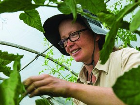 Emily Dowling pruning tomatoes in her greenhouse