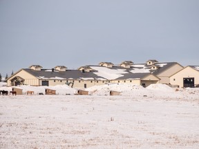 A proposed high-performance sports training facility would see these stables converted to train athletes at an elite level including adding a rink surface. RANDY VANDERVEEN