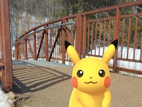 A Pikachu is spotted in the Pokémon Go universe at Harrison Park. SUPPLIED
