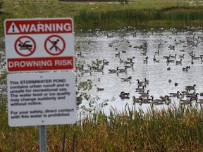 Signs posted, among the water fowl, at the pond on the Univeristy of Alberta south campus farm in Edmonton, on September 17, 2018.