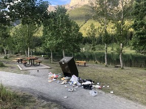 Bylaw and RCMP officers were busy last summer with the visitor overcrowding at the Quarry Lake beach area. (Pictured) Trash on the ground beside one of the bins along the Quarry Lake shore on the morning of July 20, 2020. Photo submitted.