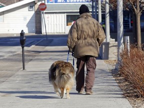 William Smith walks with his 10-year-old long-haired (Scotch) collie, Leon, Tuesday morning on James Street in Belleville. Environment Canada is predicting spring-like weather Wednesday and Thursday before what's likely a final few weeks of winter.