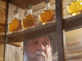 Longtime maple syrup producer Harry Dennis looks at small bottles of syrup at his Madoc-area cabin. This year's crop has so far been small, too, due to uncooperative windy weather.