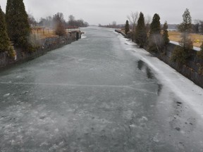 Tracy Trottier helped save a golden retriever that had wandered within the frigid waters of the Cornwall Canal on Thursday. Francis Racine/Cornwall Standard-Freeholder/Postmedia Network