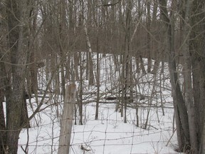 The Rideau Waterway Land Trust raised enough money to buy about 30 hectares for preservation near Chaffey's Lock.