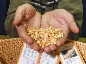 The Kingston Area Seed System Initiative's Seedy Saturday is to be held online each Saturday in March this year.