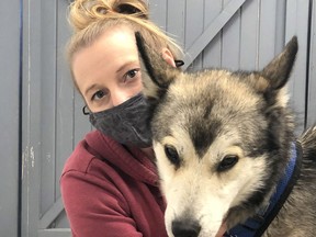 Kingston Humane Society veterinary technician Talia Fleming with Crane, a husky, at the society office in Kingston on Tuesday.