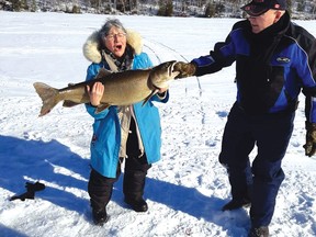 Photo by DAN MARCEAU
Salli Watson struggles to hold up the lake trout she caught on Saturday, Feb. 20 on Ten Mile Lake, located just west of Dunlop Lake. She got help reeling in and holding up her catch from a nearby angler, Chuck Anderson.