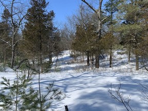 A deep freeze and plenty of snow is a good thing for nature. It helps insulate plants, helps kill unwanted bugs, and causes frost to penetrate deeply, thus improving soil structure. The photo was taken at Pinery Provincial Park several weeks ago. John DeGroot photo