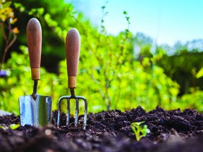 Disinfecting garden tools can help ensure the long-term health of plants and vegetables. Metro Creative