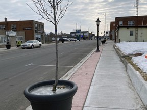 The Delhi BIA has received a beautification grant worth $21,000 from the provincial program. The funds will go towards streetscape  improvements along the newly-rebuilt King Street in the town's core.