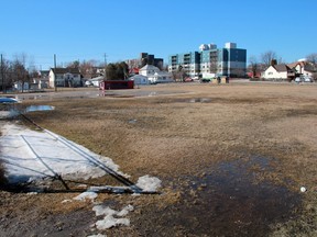 The portion of Central Park that has been re-zoned as residental to allow for housing to be build seen on March 19.