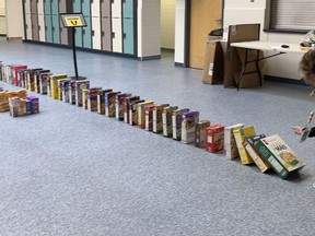 After hearing about Rock Soup Food Bank and Greenhouse, the students of Queen Elizabeth collected cereal boxes to create a domino set up for a lesson in the physics of kinetic energy.