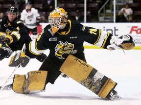 Sarnia Sting goalie Ben Gaudreau. Mark Malone Photo