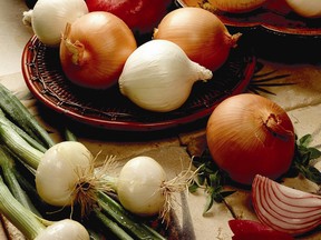Varieties of onions are shown in this undated handout photo. Daily Press gardening columnist Sylvia Stockill notes onions can be planted while the air and ground temperatures are still cool, if using “sets” or transplants. THE CANADIAN PRESS