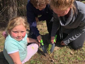 Sadie Snider, 7, left, her grandmother Nicole Belanger and mother Josée Belanger plant a tree as part of Little Green Thumbs, a program started in Mattawa to help families and children learn about gardening. Supplied Photo