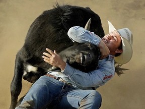 Evan Spady competes in the steer wrestling event at the 2018 Rainmaker Rodeo and Exhibition held in St. Albert on May 25, 2018. Photo by Larry Wong / Postmedia.