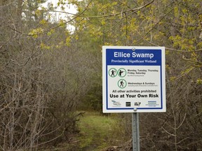 A portion of the Ellice Swamp, north of Stratford, owned by the Upper Thames River Conservation Authority has been recognized by the provincial and federal governments as a Canadian Protected and Conserved Area. (Galen Simmons/The Beacon Herald)