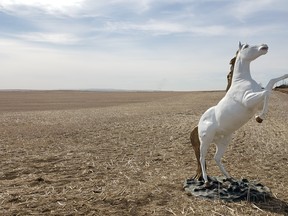 Drumheller RCMP are looking for info on who may have damaged a $10,000 unicorn that was the former resident of Delia before it was removed from it's home on April 18, and later found in a farmers field with it's horn removed and several scratches.