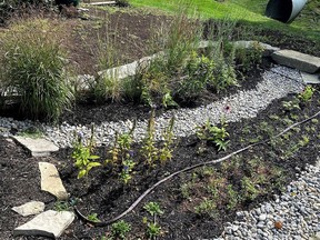 Olivia Hughes, Stormwater Project Coordinator for Quinte Conservation, will address springtime gardens and how to manage the runoff on your property at the sixth presentation in the 2021 online Winter/Spring Speakers Series hosted by the Friends of Napanee and Salmon Rivers. SUBMITTED PHOTO