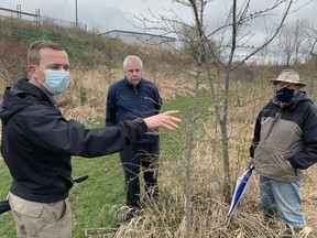 Brian Geerts examines a larch tree, one of the more than 63,000 species that have been planted as part of the New Forest in the City initiative over the past several years. Geerts joined Jim Berhalter (centre) and Chuck Beach for a visit of the forest ahead of Earth Day on April 22.