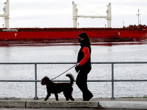 Theresa Diesch walks her Labradoodle, Thede, on Blockhouse Island while fully masked and physically distant, as the Federal Nagara makes its way upriver towards Hamilton on a grey Monday afternoon. (RONALD ZAJAC/The Recorder and Times)