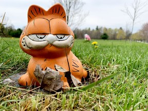 A small statue of the cartoon character Garfield pays homage to a departed pet in Brockville's pet cemetery. (RONALD ZAJAC/The Recorder and Times)