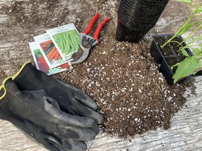 Gardening expert John DeGroot says it's best to go by the calendar than by the thermometer in deciding when to begin planting certain vegetables. John DeGroot photo