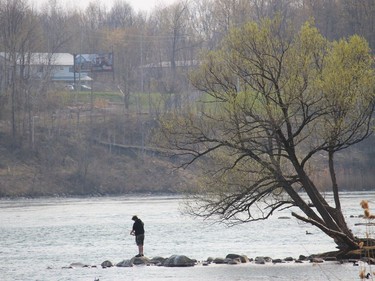 Some coastal fishing, in Lamoureux Park in Cornwall. Photo on Saturday, April 24, 2021, in Cornwall, Ont. Todd Hambleton/Cornwall Standard-Freeholder/Postmedia Network