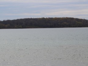 A portion of the north side of Sheek's Island, photographed from the Lakeview Heights area near Long Sault. Photo on Tuesday, April 27, 2021, in Long Sault, Ont. Todd Hambleton/Cornwall Standard-Freeholder/Postmedia Network