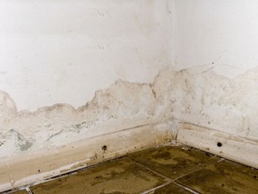 CO.basement wall water