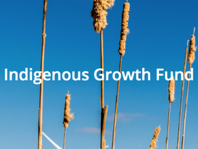 indigenous growth fund