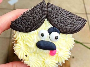 Having fun for a good cause – the Hot Roast Co, raised $2,500 for the Gananoque and District Humane Society selling decorated cupcakes during the "What's Up, Cupcake?" fundraising campaign held over the month of March.  Supplied by Ruth Judd