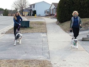 Photo by STEVE ANTUNES/FOR THE STANDARD
Two Elliot Lake women, Jennifer Waites and her dog Mira, along with Nancy Antunes and her dog Arthur, are walking Cape Breton Island’s Cabot Trail on the sidewalks in Elliot Lake.