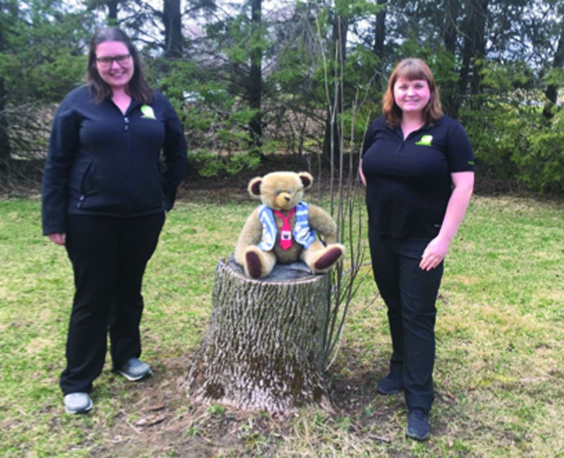 ‘A Hoot and A Half from Home’ Simcoe Reformer
