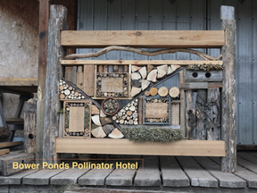 A professional landscape designer has been responsible for designing the feature of the garden, which is the Pollinator Hotel. A Pollinator Hotel will provide housing for various pollinator species.