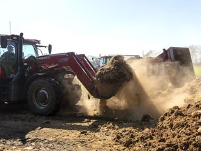 Peter Gubbels of Mt. Brydges loads a manure spreader west of Komoka in early April. Gubbels expected 14 migrant workers to arrive April 20. Starting in May, foreign workers with temporary status working in industries deemed essential, including skilled tradespeople, farm and health-care workers, will be able to apply for permanent resident status in Canada. Mike Hensen/Postmedia Network