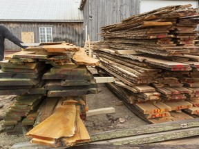 Cole Jordan, who runs Workers Wood Products in London, Ont. shows some of their raw maple, cherry and walnut wood slabs that soon will be put in his electric kiln to dry out. Mike Hensen/Postmedia Network