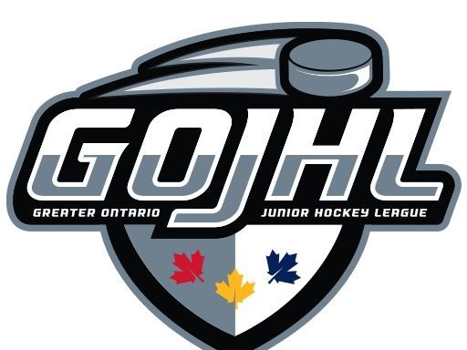 Hockey Notebook: Warriors, Cyclones recognized by GOJHL as part of year-end honours - The Beacon Herald