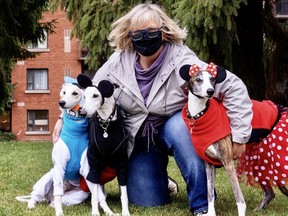 Whippets Pieter (left), Devo (second from left) and Seamus, along with therapy dog handler Reta Byvelds, have brought smiles to the faces of residents at long-term care facilities and the Stratford hospital's mental health unit during the pandemic.