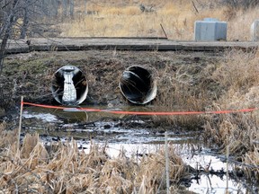 Alberta Environment and Parks has now identified the source of an oil spill in Stony Plain on April 7.