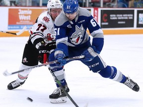Chase Stillman of the Sudbury Wolves battles for the puck with Dakota Betts of the Niagara Ice Dogs during Sunday Night OHL action from the Sudbury Community Arena. Gino Donato for The Sudbury Star