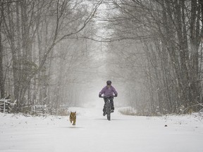 Here's Christianna Jones of Manitowaning enjoying winter on Manitoulin, riding her new fat bike, as she explained it to our 'Manhattan-Manitoulin Bonnie' in New York City. Peter Baumgarten/For The Sudbury Star