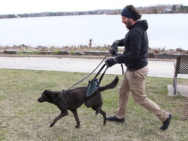 James Gallagher uses a sling to support his dog, Kai, while they go for a walk near Bell Park on Tuesday. Kai's neurological disorder doesn't seem to slow him down.