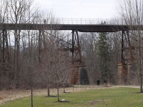 The Kinsmen pedestrian bridge in Tillsonburg, which spans across the Kinsmen Participark and Stoney Creek is in need of repairs or replacement. The Town is investigating options. (Chris Abbott/Norfolk & Tillsonburg News)