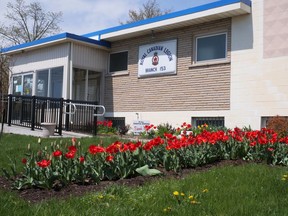 Tulips are blooming at the Tillsonburg Legion. (Chris Abbott/Norfolk and Tillsonburg News)