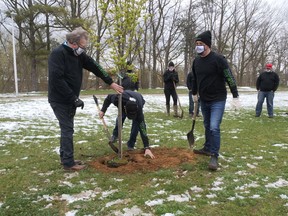 Tillsonburg Mayor Stephen Molnar (left) helped plant the final Earth Day tree Thursday morning at Memorial Park. Twenty trees were donated by Courtland Landscape and Grounds recognizing the company's 20th anniversary. (Chris Abbott/Norfolk & Tillsonburg News)