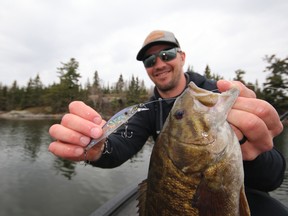 Suspending jerkbaits are a great lure for early season smallmouth bass.